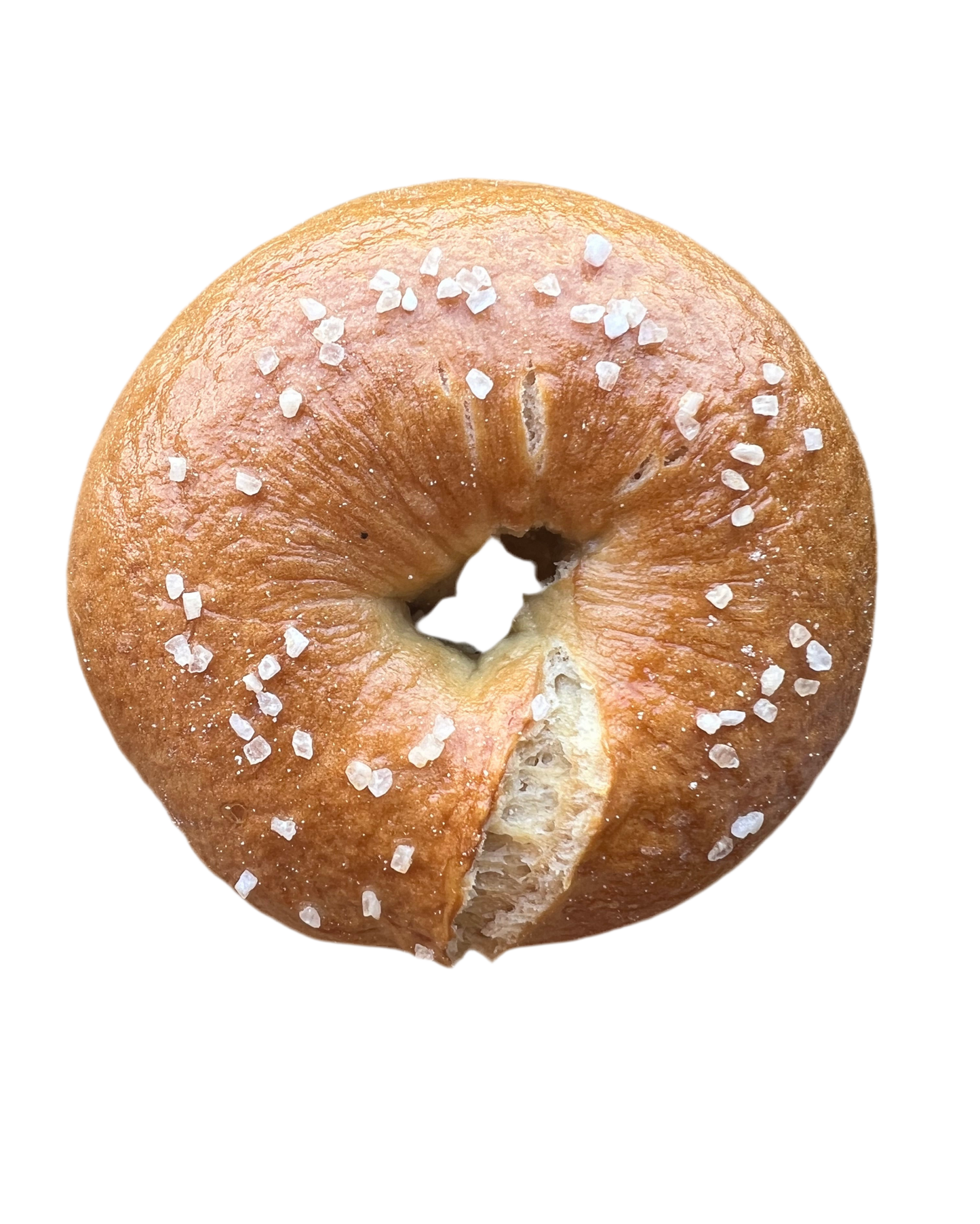 Salty - Sea Salt Bagel