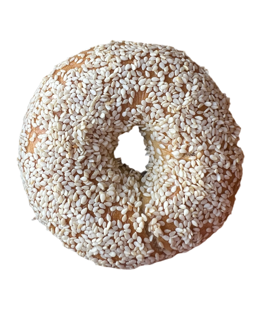 Sassy - Sesame Bagel